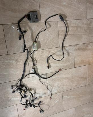 Rapid bike evo+autotune zx10r 2017