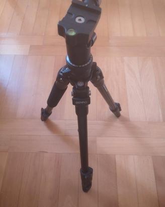 TREPPIEDI BENRO modello A250F