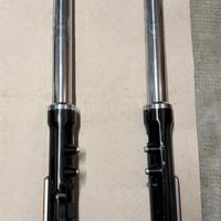 Forcelle Anteriori Orig. Harley-Davidson Breakout