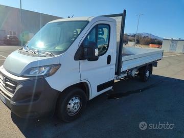 fiat ducato cassonato 