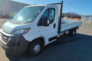 fiat ducato cassonato 