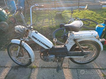 Garelli Altro modello
