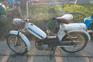 Garelli Altro modello