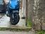Immagine 6