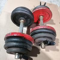 kit 2 manubri palestra totale 32 kg 