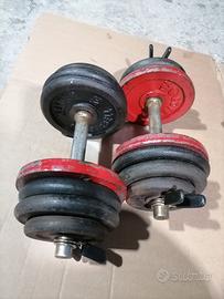 kit 2 manubri palestra totale 32 kg 