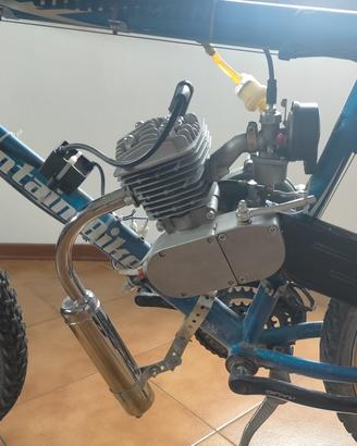 Bicicletta Motorizzata 80cc