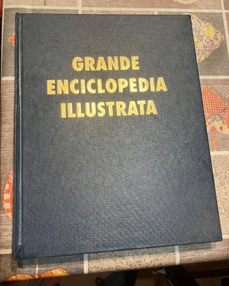 Enciclopedia illustrata