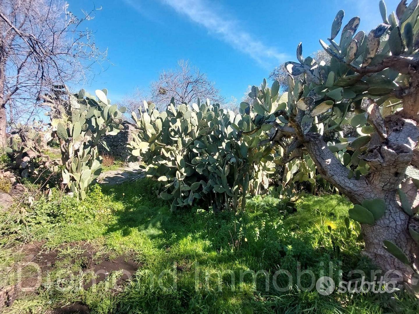 Casa di campagna con terreno a Verzella - Vista 3