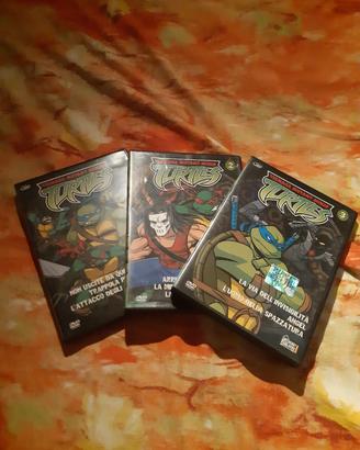 collezione dvd teenage mutant ninja turtles