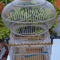 Gabbia per uccelli Araba Vintage in acciaio.