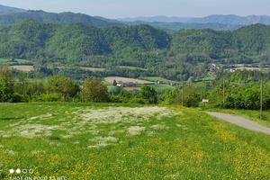 Rustico via stemigliano gremiasco (al)