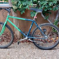 bicicletta mtb
