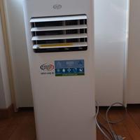 Climatizzatore/deumidificatore