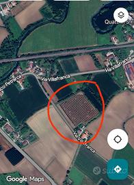 2 ettari di terreno agricolo con pioppeto