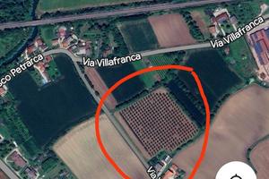 2 ettari di terreno agricolo con pioppeto