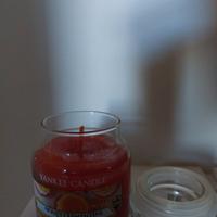 candela Yankee Candle Honey Clementine


