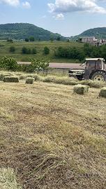 Ballette fieno primo taglio