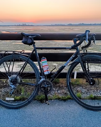 Bici surly