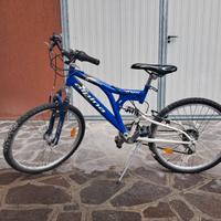 Mountain bike