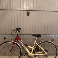 Bicicletta da passeggio