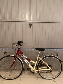 Bicicletta da passeggio