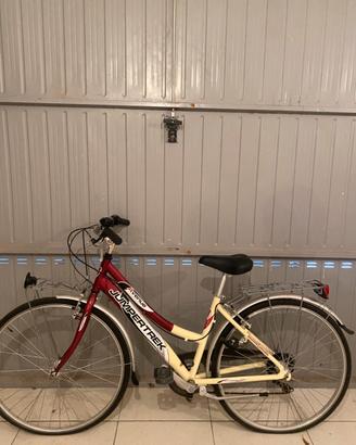 Bicicletta da passeggio