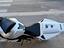 Immagine 12