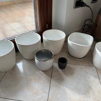 Sette portavasi