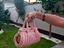 Immagine 3