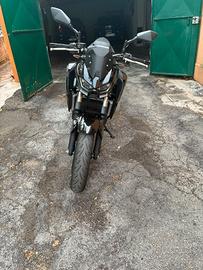 Kawasaki 500 2025