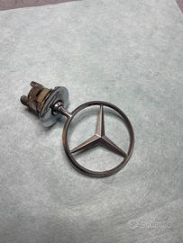 Stemma mercedes stella