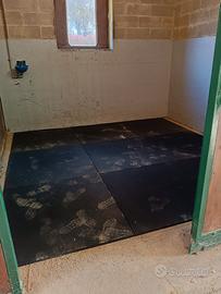 pannelli pavimento Box Cavalli 