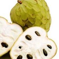 PIANTE DI ANNONA CHERIMOLA INNESTATE