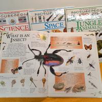 4 libri in inglese - Picturepedia-