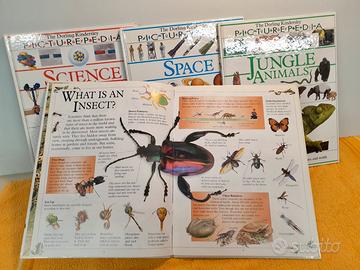 4 libri in inglese - Picturepedia-