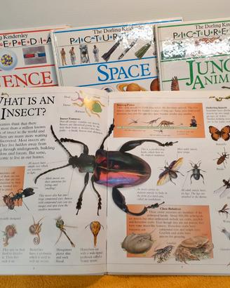 4 libri in inglese - Picturepedia-