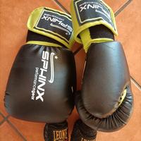 Guantoni boxe Sphinx