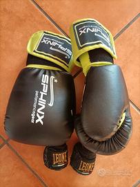 Guantoni boxe Sphinx
