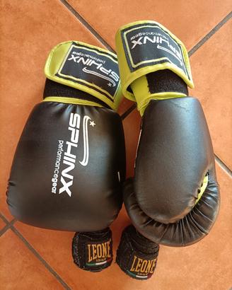 Guantoni boxe Sphinx
