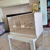 Gabbia da cova 60 new canariz