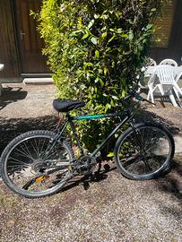 Bicicletta 26