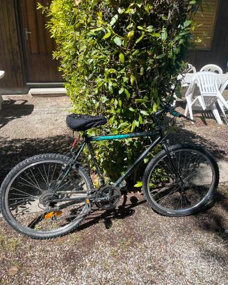 Bicicletta 26