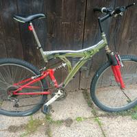 Mountain bike da adulto (taglia media)