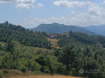 Terreno agricolo edificabile per ricovero attrezzi