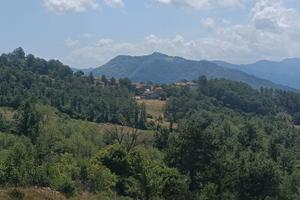 Terreno agricolo edificabile per ricovero attrezzi