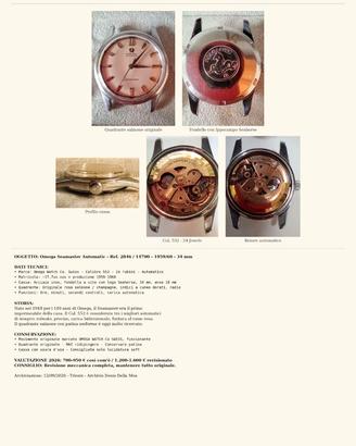 Omega Sea master vintage