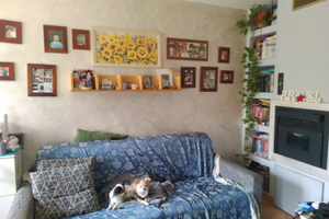 Appartamento in bifamiliare