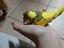 Immagine 2