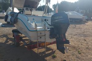 Motore fuoribordo yamaha 40/60